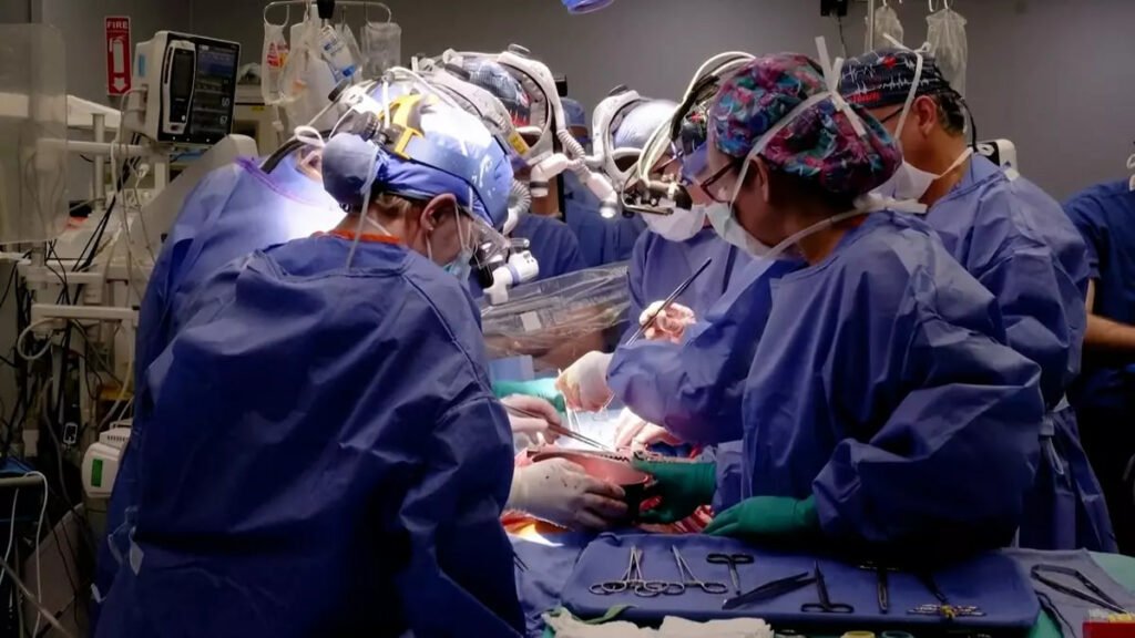 1698884495 565 دومین بیمار دریافت‌کننده قلب خوک به‌دلیل نارسایی قلبی درگذشت