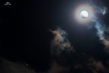 تصویر روز ناسا: مشتری در کنار مهتاب