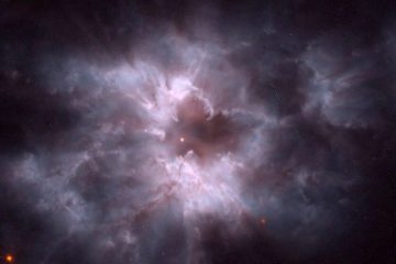 NGC 2440، پیله یک کوتوله سفید جدید