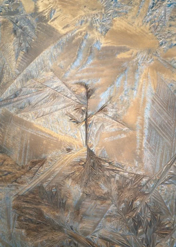 1705084162 187 برندگان مسابقه عکاسی کلوزآپ سال 2023 اظهار شدند عکس.webp