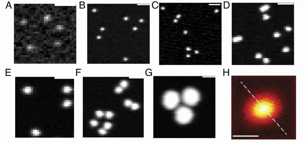 نانوپلاستیک در آب بطری