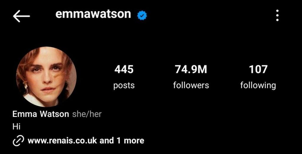 1714498445 5 ضمیر اینستاگرام چیست آموزش فعال سازی pronouns در بیو