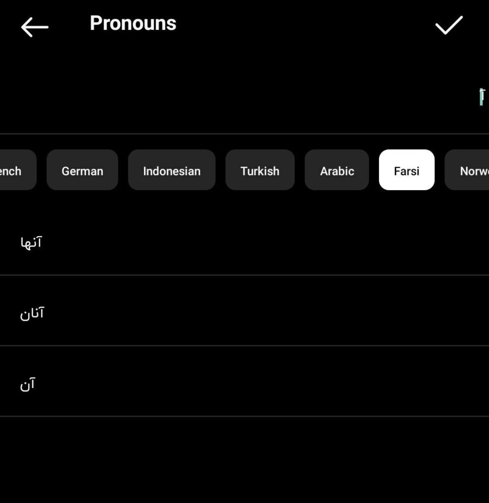 1714498449 259 ضمیر اینستاگرام چیست آموزش فعال سازی pronouns در بیو