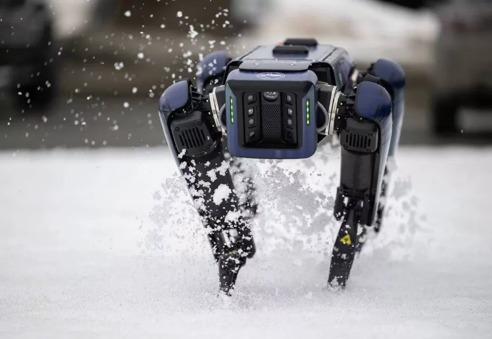 ترساندن حیوانات اطراف فرودگاه با ربات بوستون داینامیکس + ویدیو