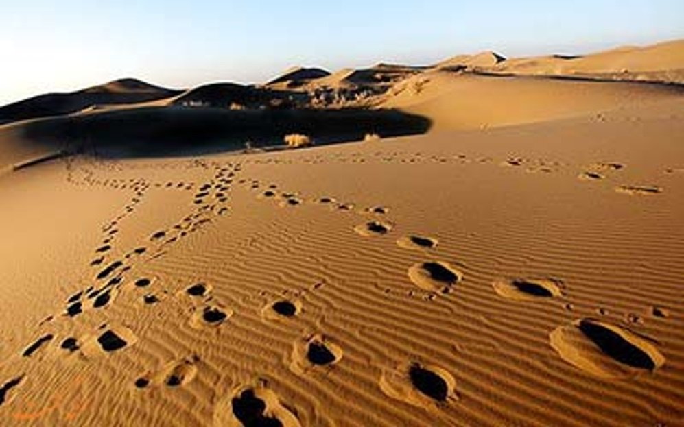 حال و هوای گردش پاییزی در اصفهان
