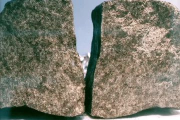 نخلا