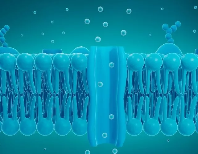 انقلابی در علم اعصاب؛ کنترل ذهن موش‌ها از راه دور برای اولین‌بار