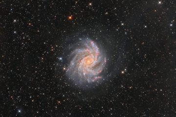 تصویر روز ناسا: روبه‌روی NGC 6946