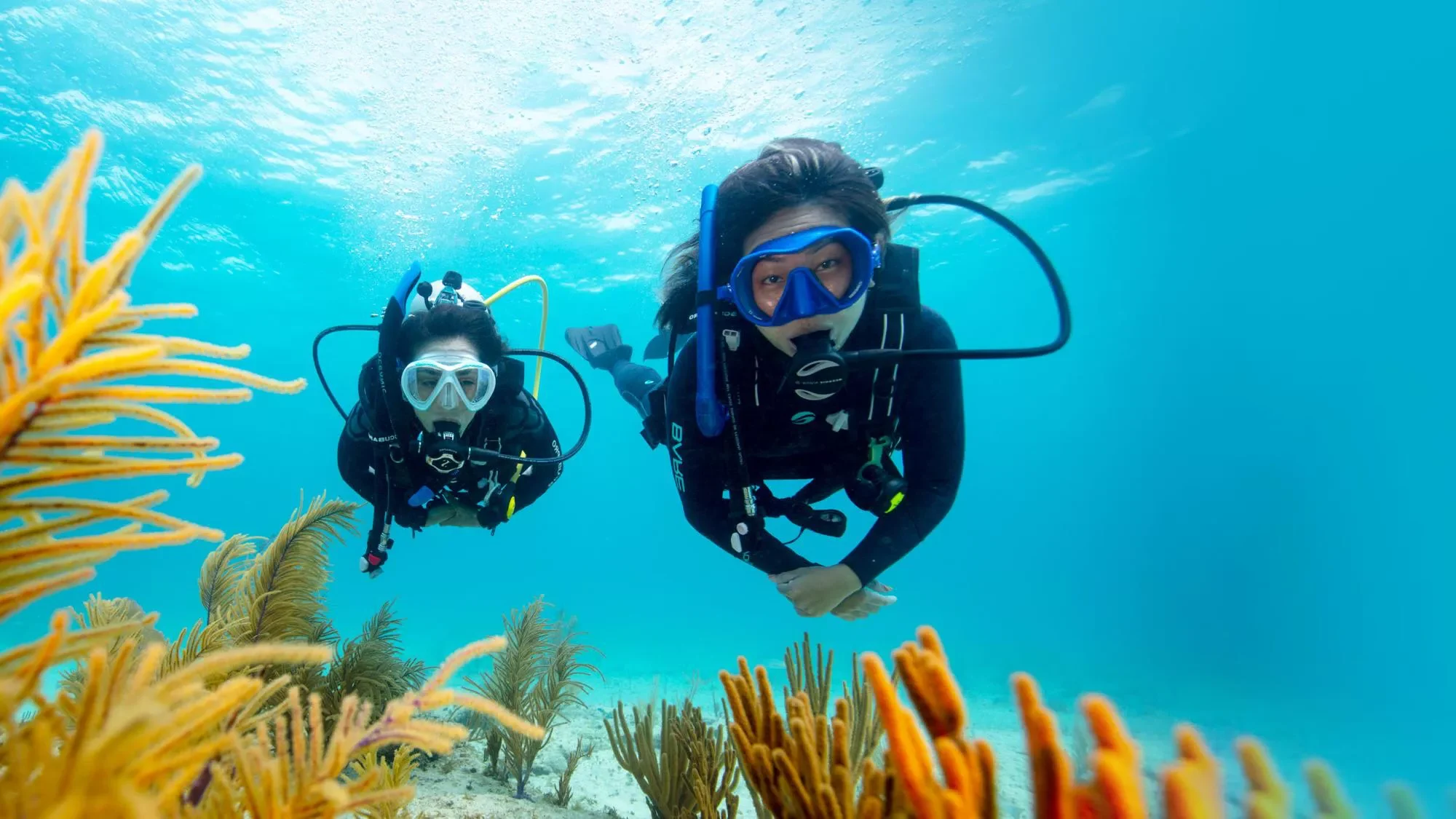 ۲۰ بازی تابستانی آبی، جنگی و شگفت برای همه سنین_دوپلر 46 1724483953 715 ۲۰ بازی تابستانی آبی، جنگی و شگفت برای همه سنین دوپلر.webp