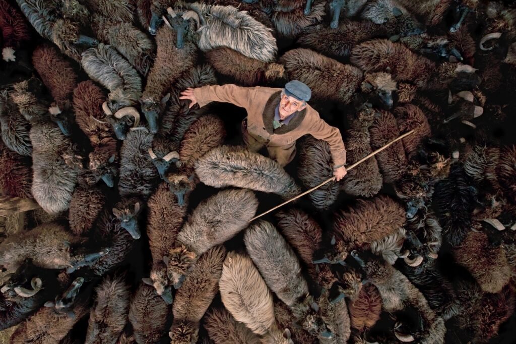 برندگان مسابقه دلنشین عکاسی با پهپاد 2024 اشکار شدند + گالری_دوپلر 41 مسابقه عکاسی با پهپاد 2024