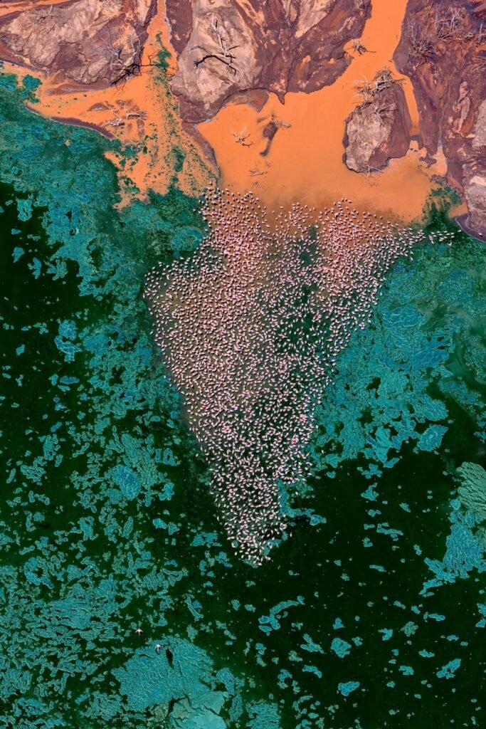 برندگان مسابقه دلنشین عکاسی با پهپاد 2024 اشکار شدند + گالری_دوپلر 46 مسابقه عکاسی با پهپاد 2024