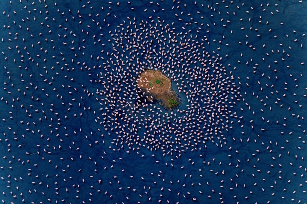 برندگان مسابقه دلنشین عکاسی با پهپاد 2024 اشکار شدند + گالری_دوپلر 49 مسابقه عکاسی با پهپاد 2024