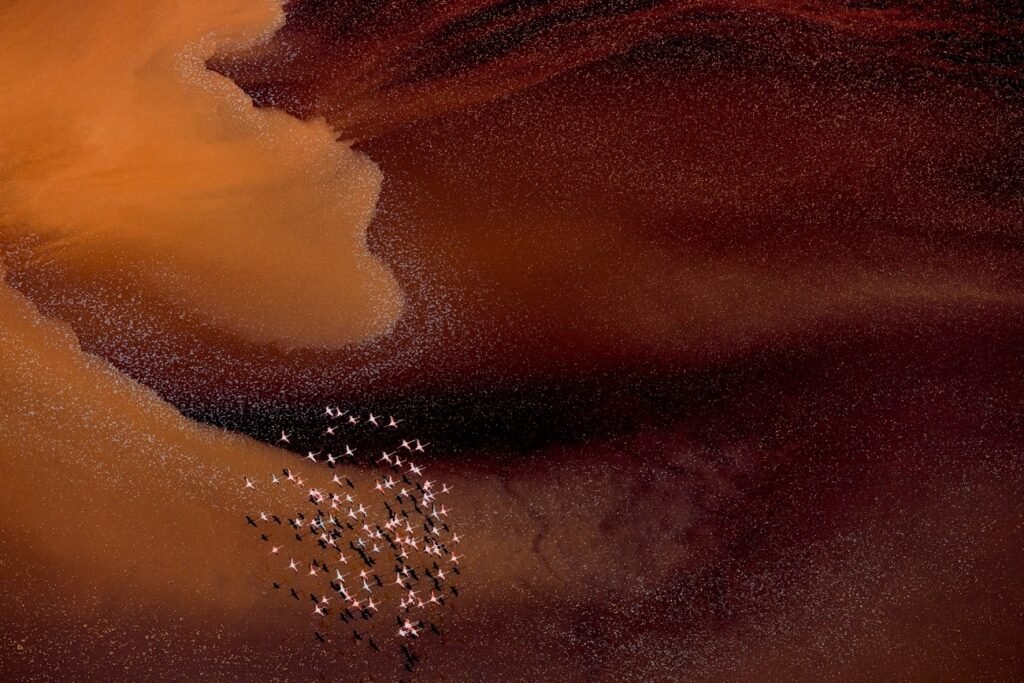 برندگان مسابقه دلنشین عکاسی با پهپاد 2024 اشکار شدند + گالری_دوپلر 47 مسابقه عکاسی با پهپاد 2024