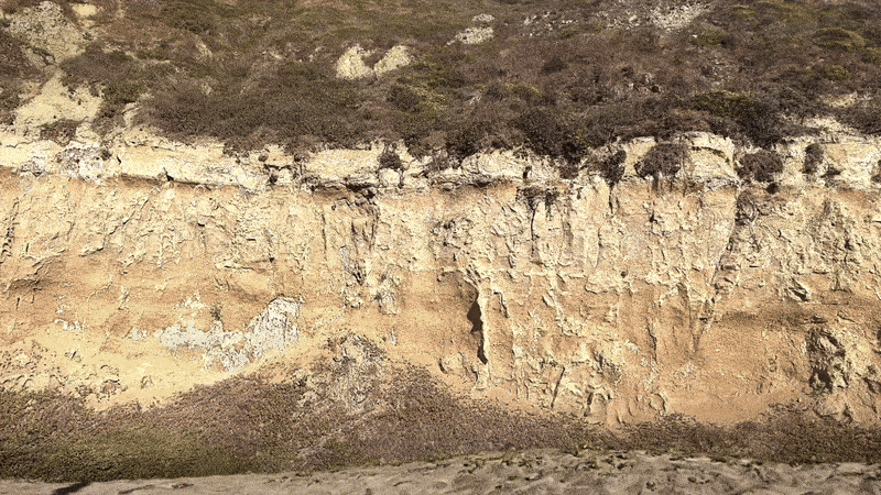 دنیای مجازی