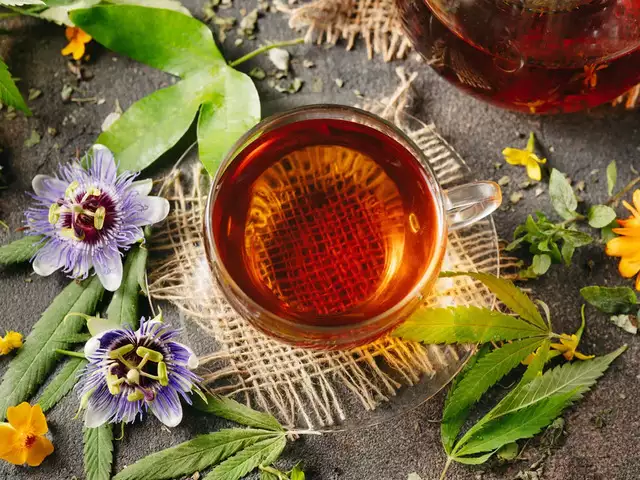 دمنوش های سودمند: ۱۲ دمنوش گیاهی سودمند که باید امتحان کنید!_دوپلر 36 1742419851 770 دمنوش های سودمند ۱۲ دمنوش گیاهی سودمند که باید امتحان.webp