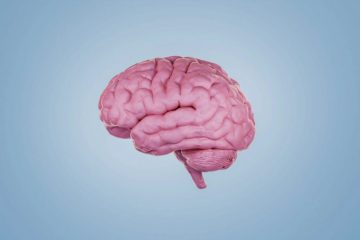 غیرفعال کردن اینترنت موبایل می‌تواند فرایند پیری مغز را معکوس کند