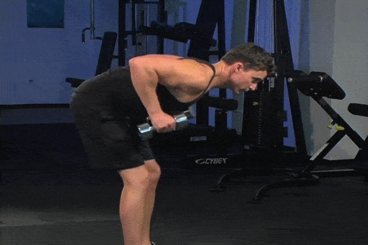 ورزش با دمبل - کیک بک عضله سه سر بازویی